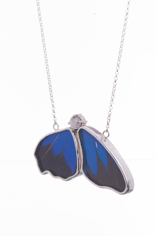 2--A-2B-5F-Silver-butterfly-necklace-with-blue-topaz-birthstone-Royal-Blue-half-Papilio-Ulysses