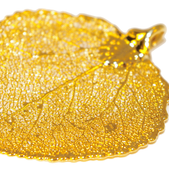 Real Aspen Leaf Pendant layered in 24K Gold