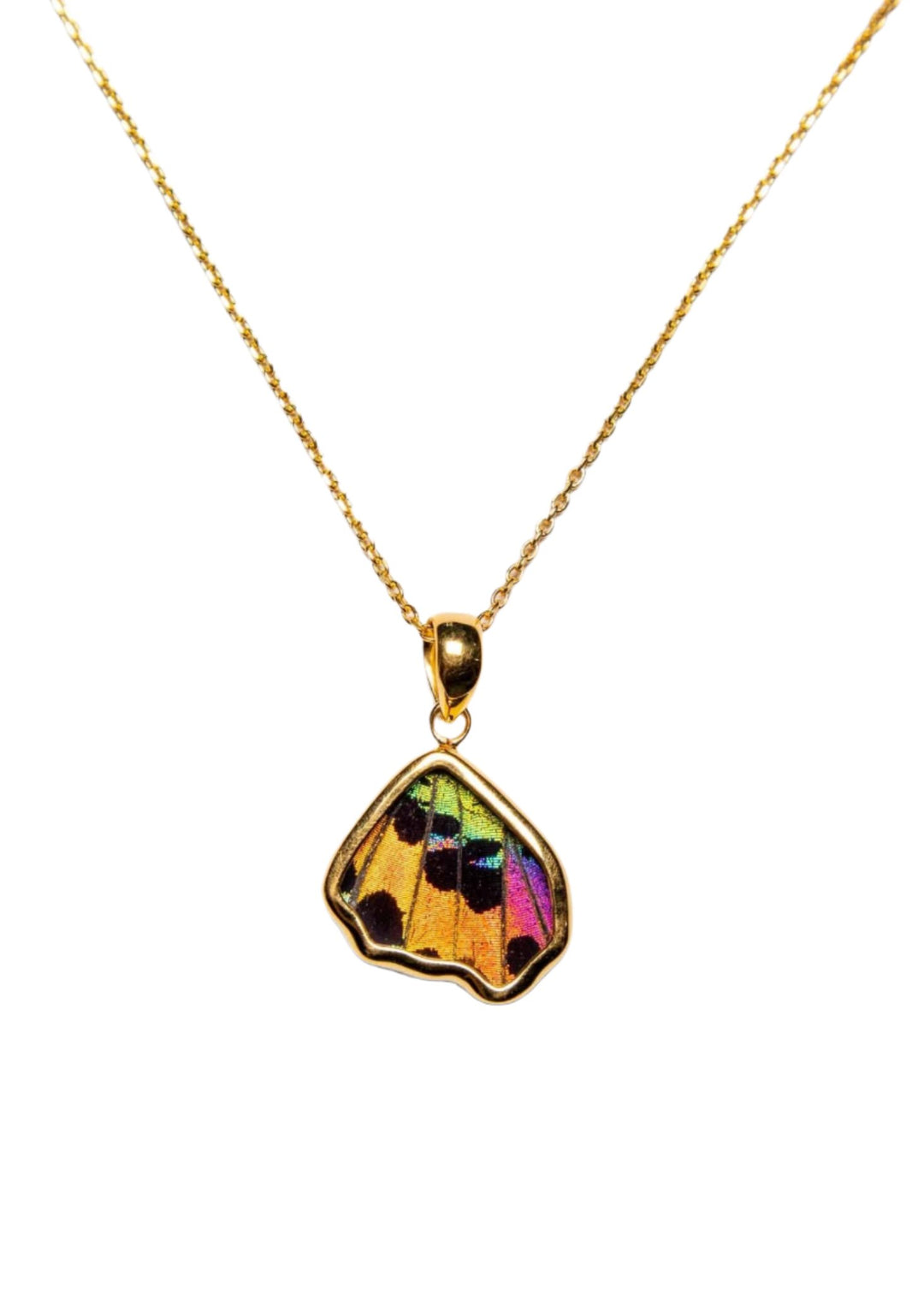1-Real Butterfly Wings-A-SB-5B-Gold-butterfly-pendant-Shimmering-Rainbow-Wing-Shaped-Chrysiridia-Madagascariensis-Bottom-wing