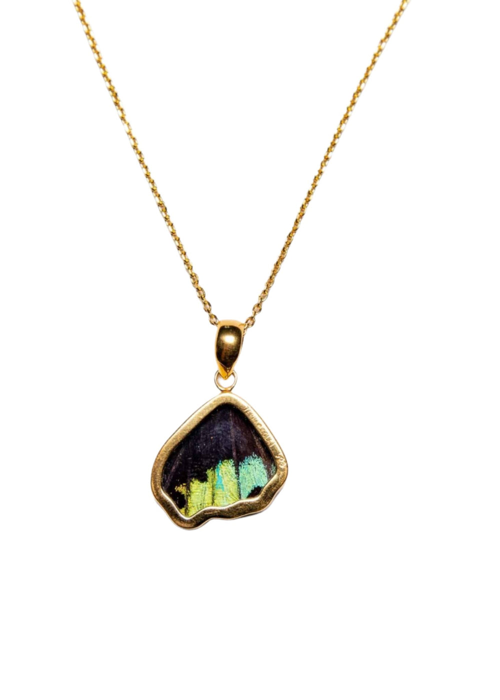 2--A-SB-5B-Gold-butterfly-pendant-Shimmering-Rainbow-Wing-Shaped-Chrysiridia-Madagascariensis-Bottom-wing