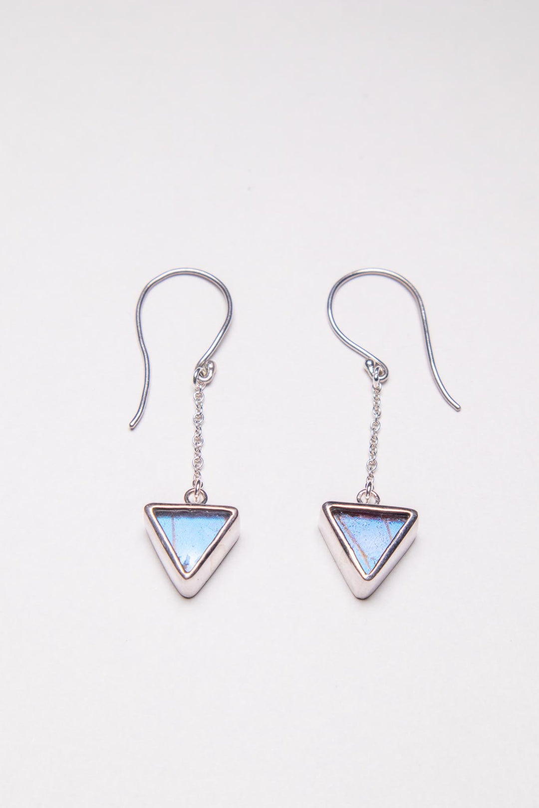 1-Real Butterfly Wings-A-SB-T1-Silver-butterfly-earrings-Iridescent-Blue-Triangle-Morpho-Didius