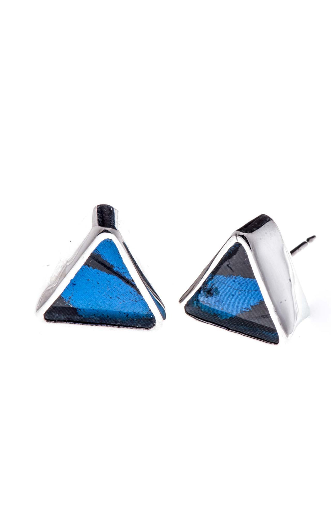 4--A-SA-T1-Silver-butterfly-earrings-Royal-Blue-Triangle-Papilio-Ulysses
