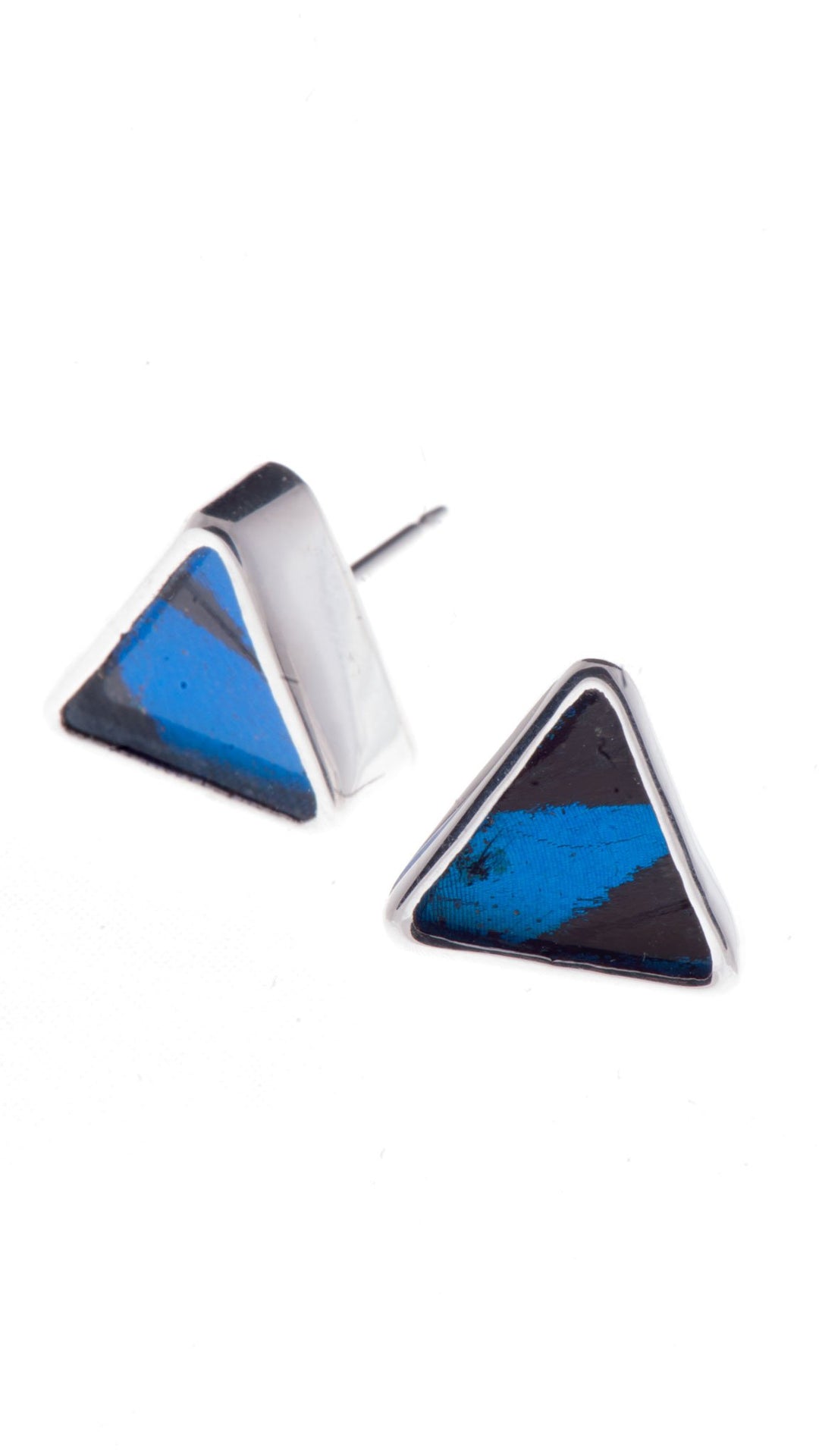 1-Real Butterfly Wings-A-SA-T1-Silver-butterfly-earrings-Royal-Blue-Triangle-Papilio-Ulysses