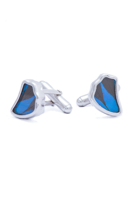 4--A-SA-1B-Silver-butterfly-cufflinks-Royal-Blue-Wing-Shaped-Papilio-Ulysses