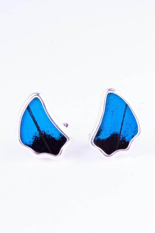 1-Real Butterfly Wings-A-SA-1B-Silver-butterfly-cufflinks-Royal-Blue-Wing-Shaped-Papilio-Ulysses