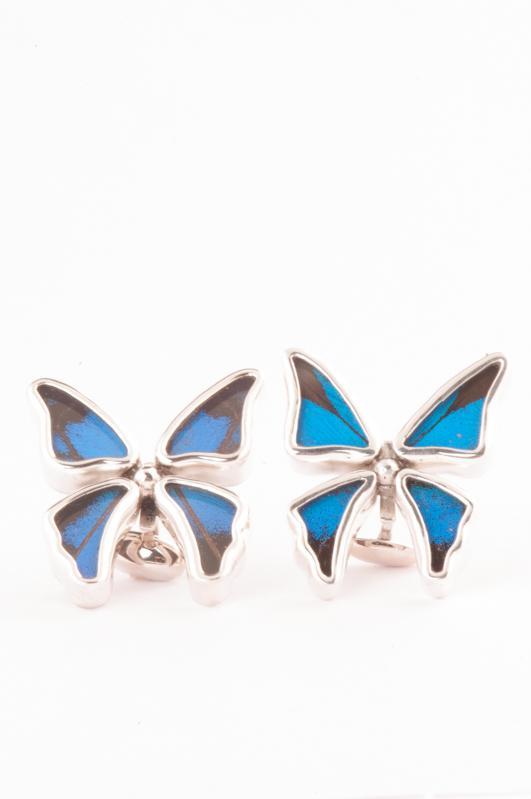 1-Real Butterfly Wings-A-4C-3F-Silver-butterfly-cufflinks-Royal-Blue-Papilio-Ulysses