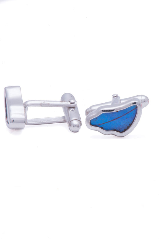 2--A-SA-3B-Silver-butterfly-cufflinks-Iridescent-Blue-Wing-Shaped-Morpho-Didius