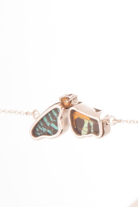 2--A-2F-5F-Silver-butterfly-bracelet-with-citrine-birthstone-Shimmering-Rainbow-Green-half-Chrysiridia-Madagascariensis