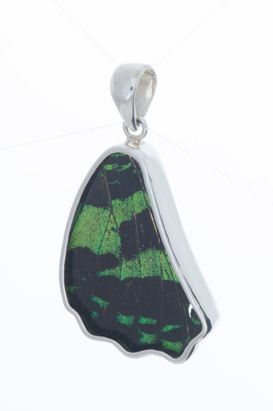 8--a-sb-1b-silver-butterfly-pendant-shimmering-green-wing-shaped-chrysiridia-madagascariensis-top-wing