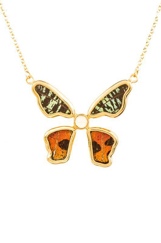 1-Real Butterfly Wings-A-4B-5F-Gold-butterfly-necklace-with-citrine-birthstone-Shimmering-Rainbow-Green-Chrysiridia-Madagasca