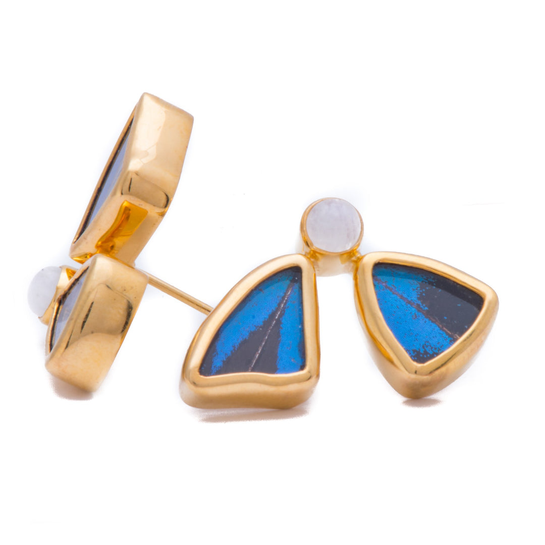 12--A-2D-2F-Gold-butterfly-earrings-with-blue-topaz-birthstone-Royal-Blue-half-Papilio-Ulysses