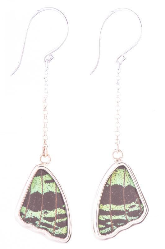 3--A-SB-4C-Silver-butterfly-earrings-Shimmering-Green-Wing-Shaped-Chrysiridia-Madagascariensis-Top-wing