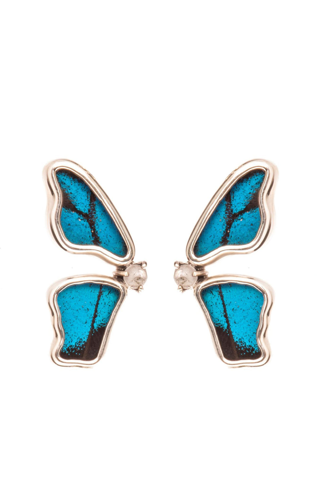 1-Real Butterfly Wings-A-2D-5F-Silver-butterfly-earrings-with-blue-topaz-birthstone-Royal-Blue-half-Papilio-Ulysses