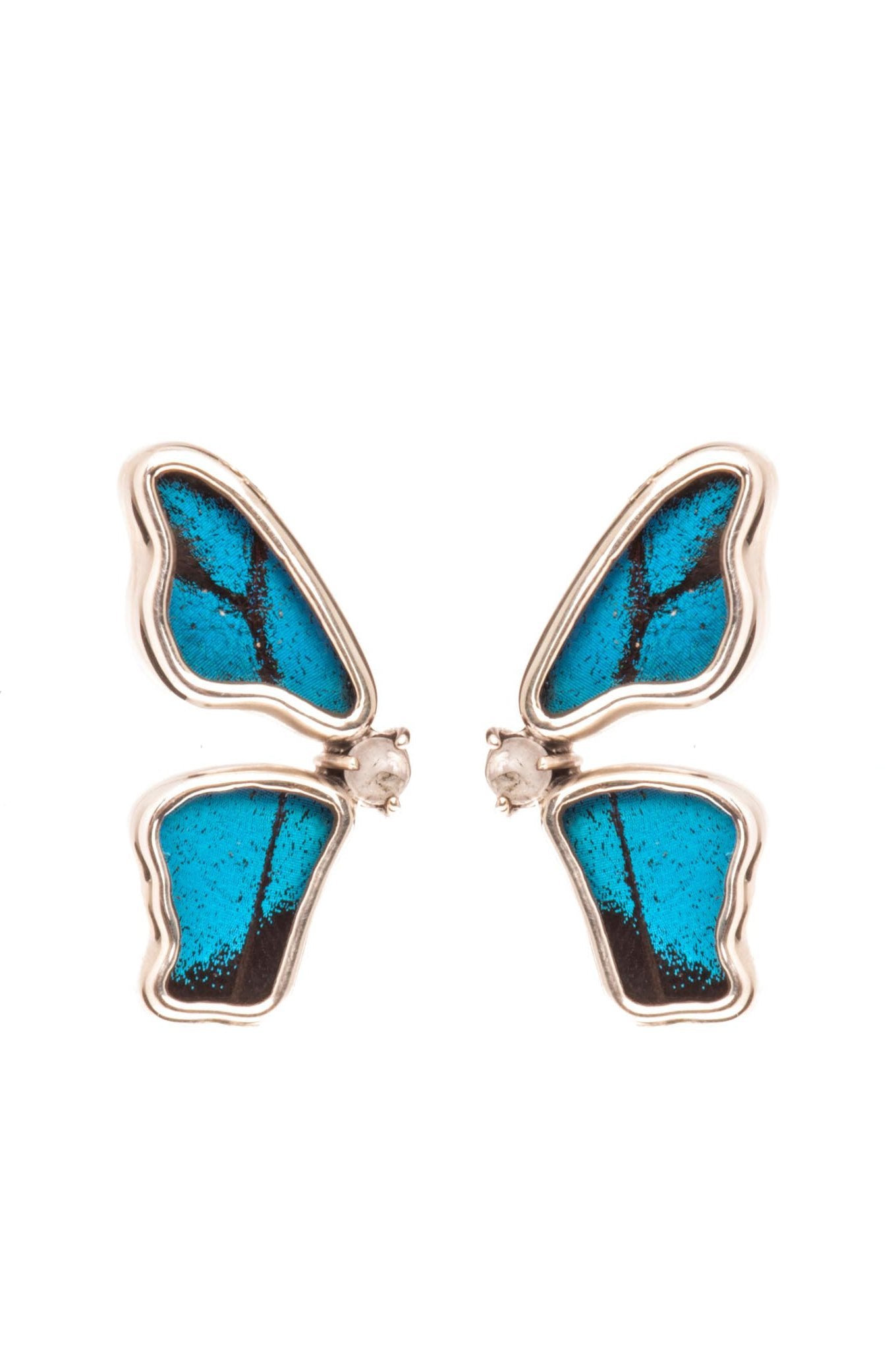 1-Real Butterfly Wings-A-2D-5F-Silver-butterfly-earrings-with-blue-topaz-birthstone-Royal-Blue-half-Papilio-Ulysses