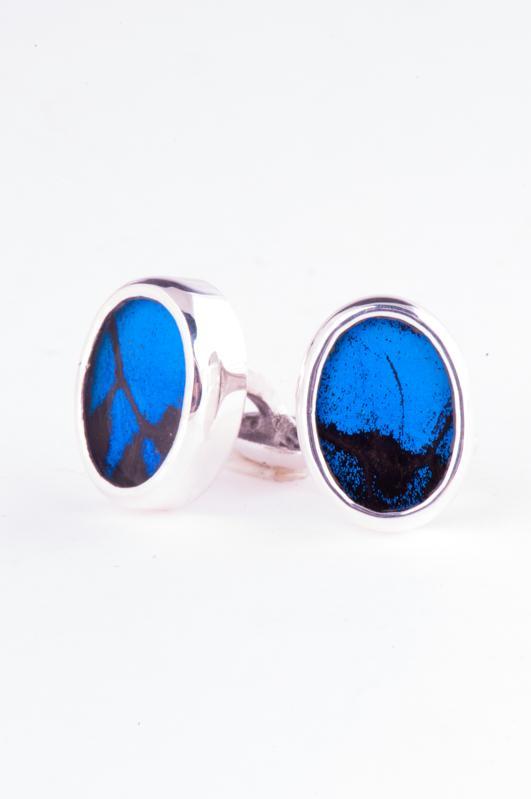 3--A-SA-O1-Silver-butterfly-cufflinks-Royal-Blue-Oval-Papilio-Ulysses