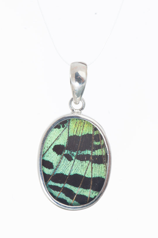 1-Real Butterfly Wings-A-SB-O1-Silver-butterfly-pendant-Shimmering-Green-Oval-Chrysiridia-Madagascariensis-Top-wing