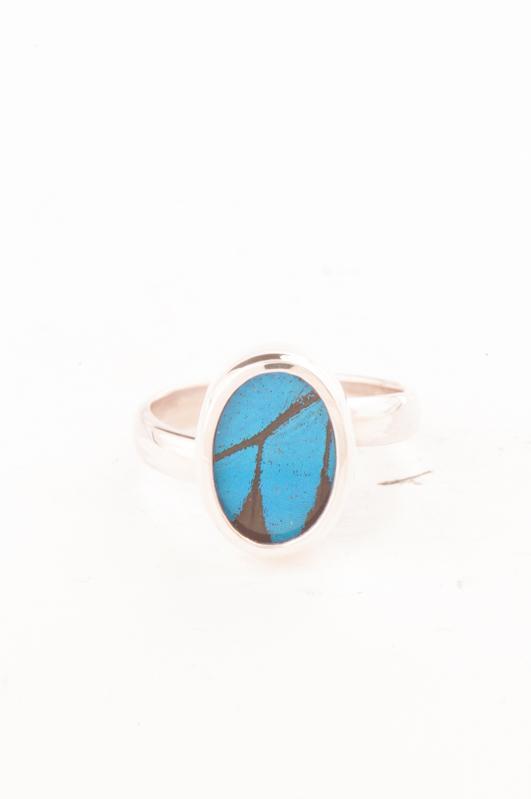 1-Real Butterfly Wings-A-SA-O1-Silver-butterfly-ring-Royal-Blue-Oval-Papilio-Ulysses