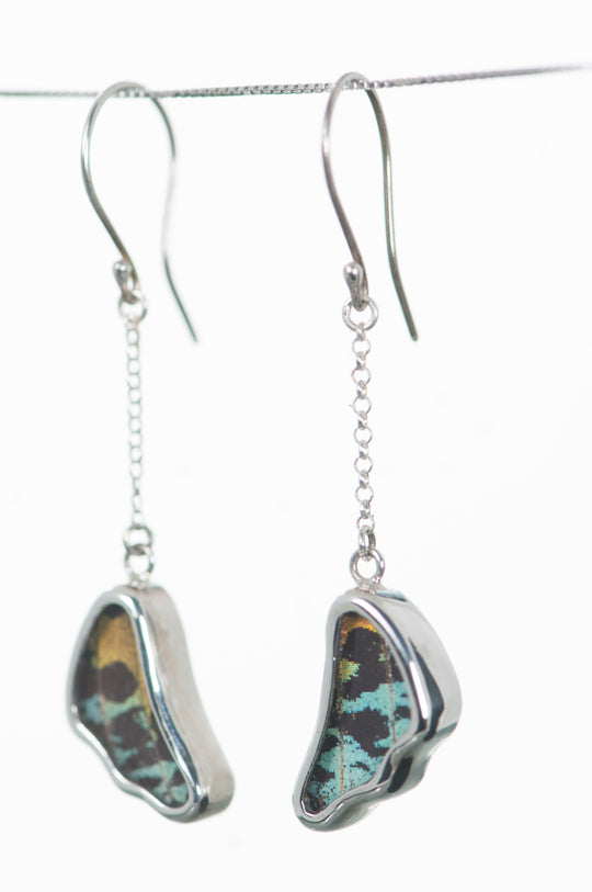 2--A-SB-3B-Silver-butterfly-earrings-Shimmering-Rainbow-Wing-Shaped-Chrysiridia-Madagascariensis-Bottom-wing