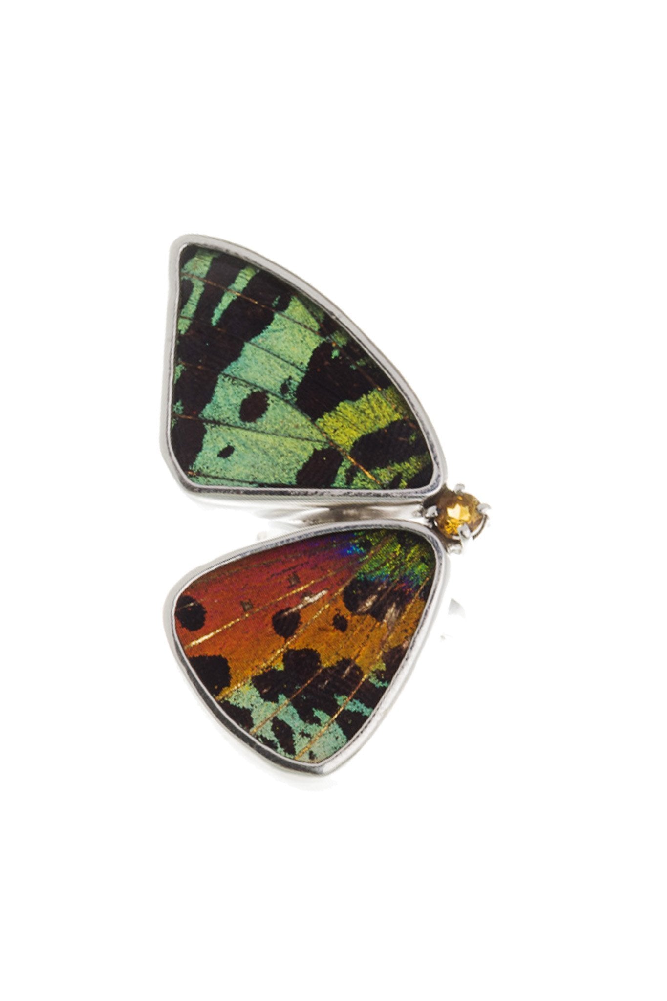 1-Real Butterfly Wings-A-2D-2F-Silver-butterfly-ring-with-citrine-birthstone-Shimmering-Rainbow-Green-half-Chrysiridia-Madaga