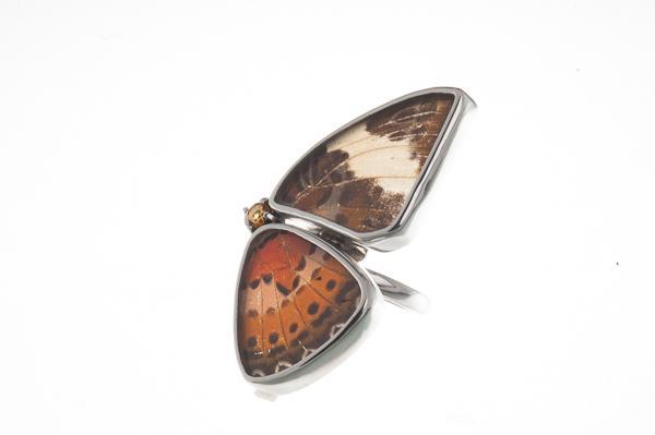 2--A-2D-2F-Silver-butterfly-ring-with-citrine-birthstone-half-Chetosia-Hypsea