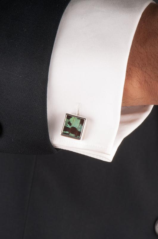 4--A-SA-S1-Silver-butterfly-cufflinks-Shimmering-Green-Square-Chrysiridia-Madagascariensis-Top-wing