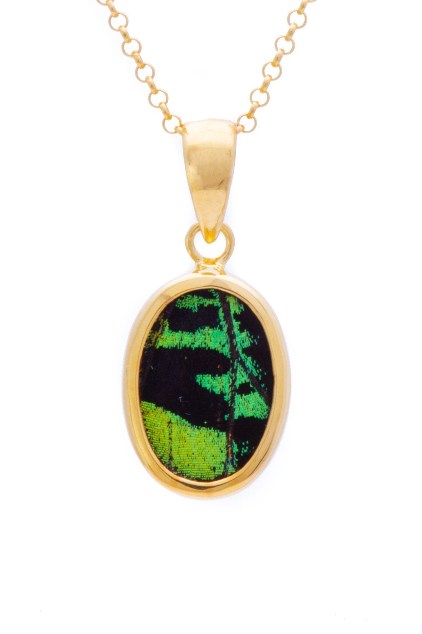 1-Real Butterfly Wings-A-SB-O1-Gold-butterfly-pendant-Shimmering-Green-Oval-Chrysiridia-Madagascariensis-Top-wing