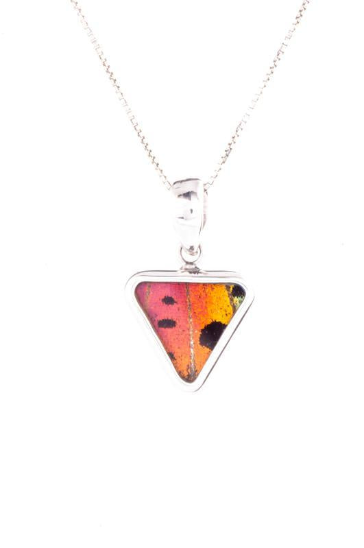 1-Real Butterfly Wings-A-SB-T1-Silver-butterfly-pendant-Shimmering-Rainbow-Triangle-Chrysiridia-Madagascariensis-Bottom-wing