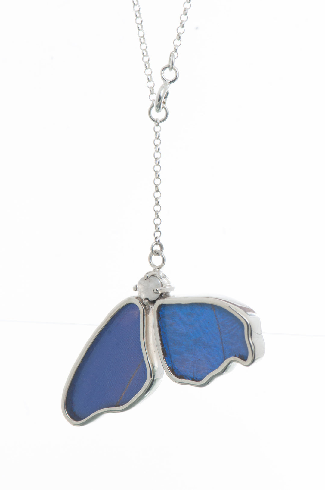 2--A-2B-5F-Silver-butterfly-necklace-with-blue-topaz-birthstone-Iridescent-Blue-half-Morpho-Didius