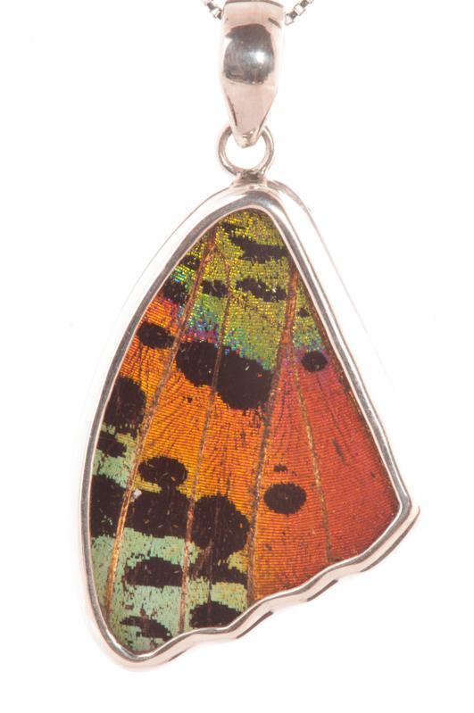 1-Real Butterfly Wings-A-SB-4C-Silver-butterfly-pendant-Shimmering-Green-Wing-Shaped-Chrysiridia-Madagascariensis-Top-wing