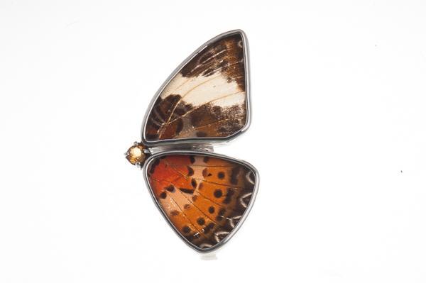 1-Real Butterfly Wings-A-2D-2F-Silver-butterfly-ring-with-citrine-birthstone-half-Chetosia-Hypsea