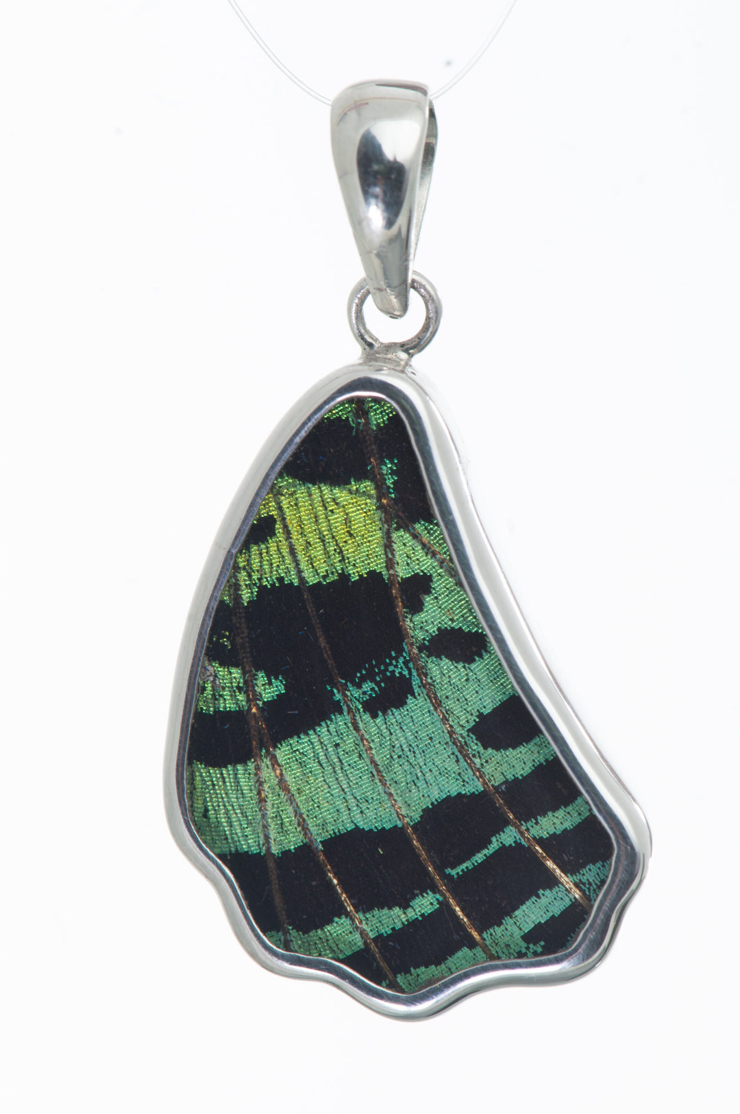 7--a-sb-1b-silver-butterfly-pendant-shimmering-green-wing-shaped-chrysiridia-madagascariensis-top-wing