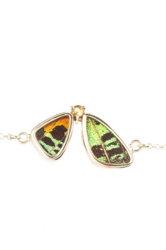 1-Real Butterfly Wings-A-2F-6F-Silver-butterfly-bracelet-with-citrine-birthstone-Shimmering-Rainbow-Green-half-Chrysiridia-Ma