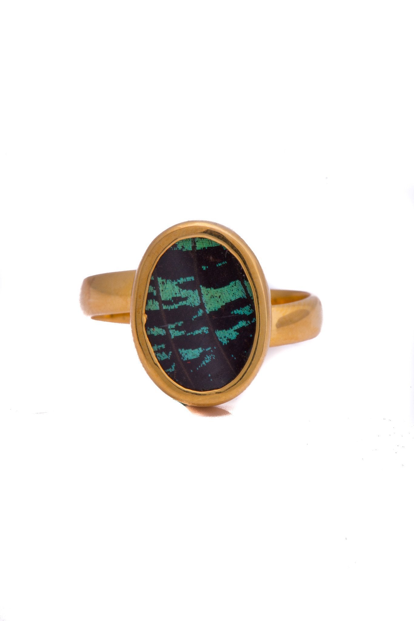 1-Real Butterfly Wings-A-SA-O1-Gold-butterfly-ring-Shimmering-Green-Oval-Chrysiridia-Madagascariensis-Top-wing